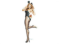 Tom Caggiano pinup girl